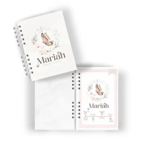 Kit Livro Bebê ,caderneta e Mini Porta Documento Borboletas