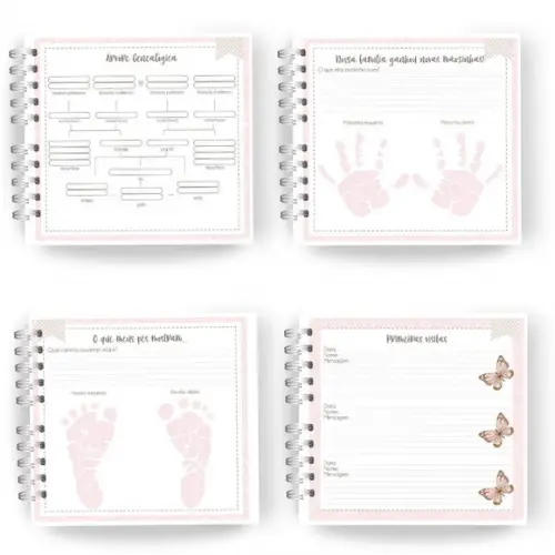 Kit Livro Bebê e Caderneta de Vacina Borboletas