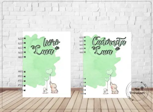 Kit Livro do Bebê + Caderneta de Saúde