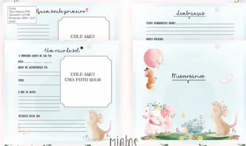 Kit Livro do Bebê + Caderneta de Saúde - Bichinhos Baloeiros