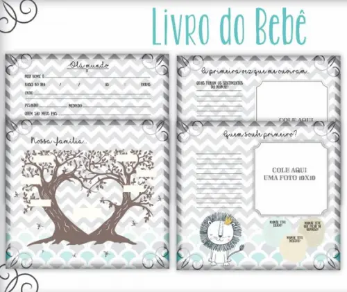 Kit Livro do Bebê + Caderneta de Saúde - Leãozinho