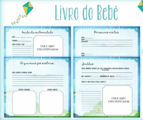 Kit Livro do Bebê + Caderneta de Saúde - Pipa