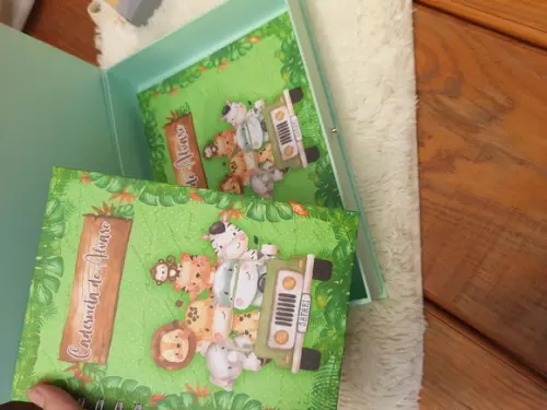 Kit Livro do Bebê + Caderneta de Saúde + Caixa