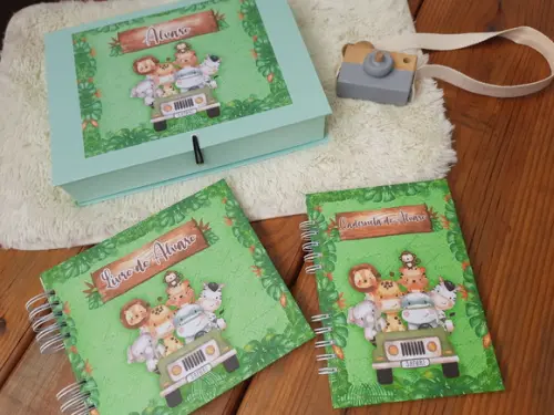 Kit Livro do Bebê + Caderneta de Saúde + Caixa