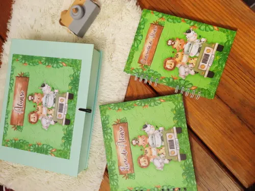 Kit Livro do Bebê + Caderneta de Saúde + Caixa