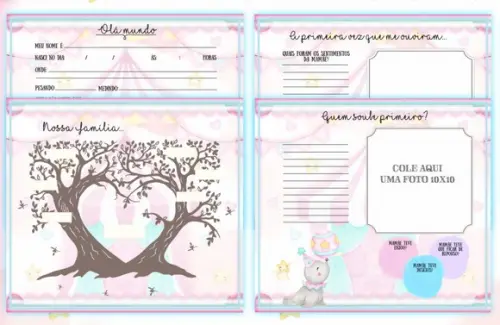 Kit Livro do Bebê + Caderneta de Vacina - Circo Rosa
