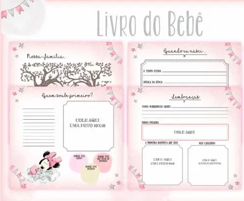 Kit Livro do Bebê + Caderneta de Vacina - Minnie Baby