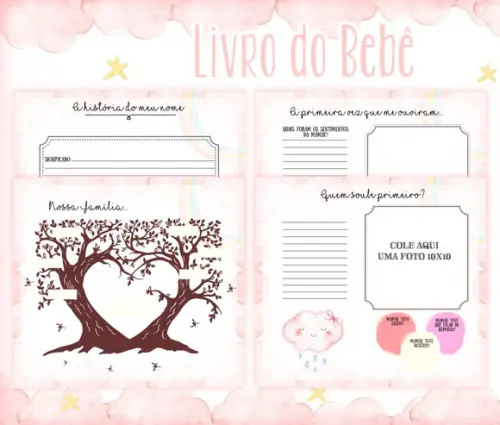 Kit Livro do Bebê + Caderneta de Vacina -Chuva de Amor Rosa