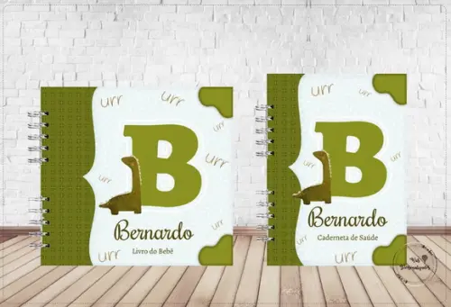 Kit Livro do Bebê 1,1 + Caderneta de Vacina Dinossauro
