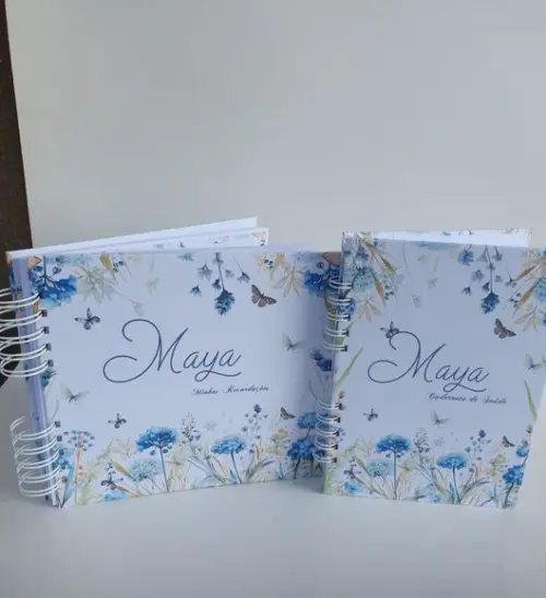 Kit Livro do Bebê 1,1 + Caderneta de Vacina Floral Azul