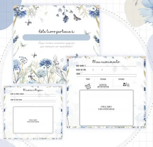 Kit Livro do Bebê 1,1 + Caderneta de Vacina Floral Azul