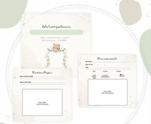 Kit Livro do Bebê 1,1 + Caderneta de Vacina Ursinho