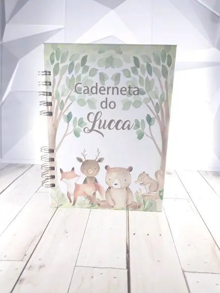 Kit Livro do Bebê Caderneta de Vacina Bosque Menino