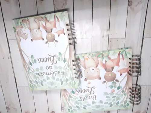 Kit Livro do Bebê Caderneta de Vacina Bosque Menino