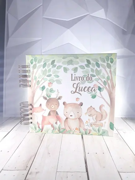 Kit Livro do Bebê Caderneta de Vacina Bosque Menino
