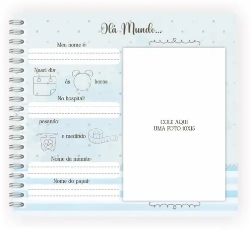 Kit Livro do Bebê e Caderneta de Saúde - Neutro