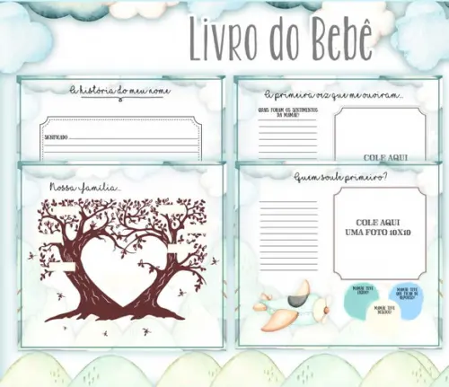 Kit Livro do Bebê e Caderneta de Vacina Avião