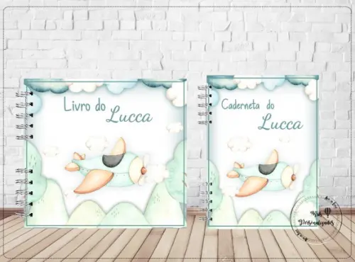 Kit Livro do Bebê e Caderneta de Vacina Avião