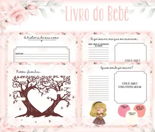 Kit Livro do Bebê e Caderneta de Vacina Aurora