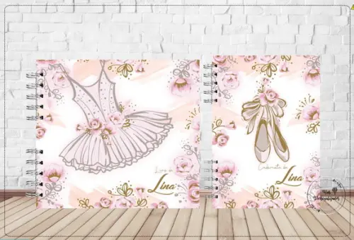 Kit Livro do Bebê e Caderneta de Vacina Bailarina
