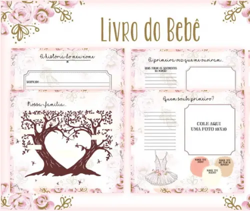 Kit Livro do Bebê e Caderneta de Vacina Bailarina