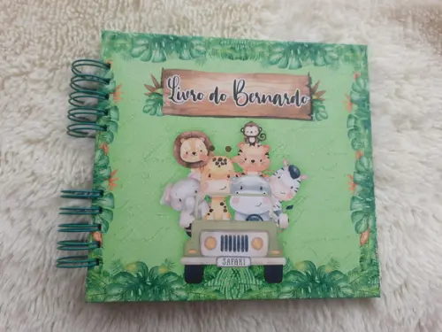Kit Livro do Bebê e Caderneta de Vacina Safari verde