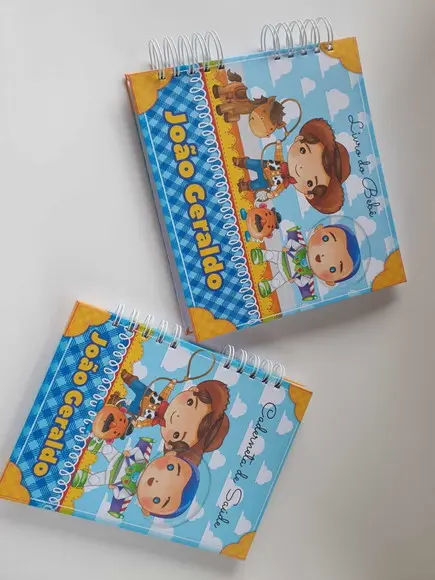 Kit Livro do Bebê e Caderneta de Vacina Toy Story