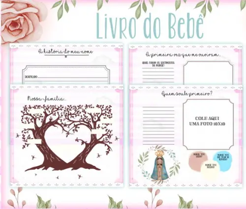 Kit Livro do Bebê e Caderneta Nossa Senhora de Aparecida