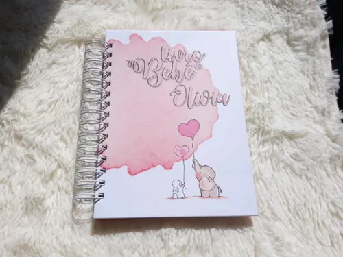 Livro Bebê