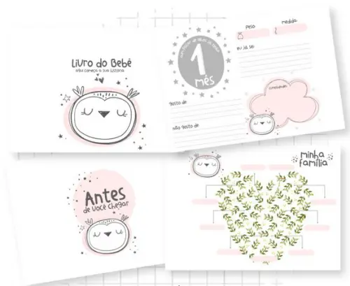 Livro Bebê Corujinha