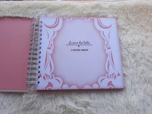 Livro do Bebê Bailarina