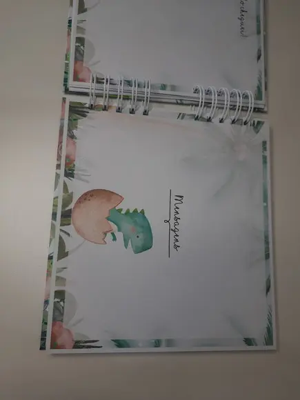 Livro do Bebê Dinossauro