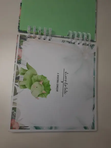 Livro do Bebê Dinossauro