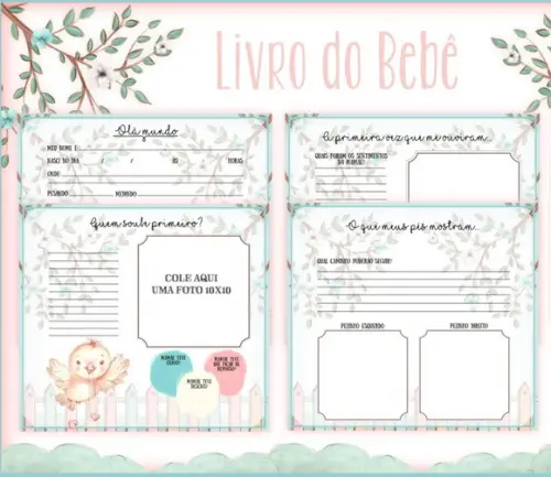 Livro do Bebê Passarinho