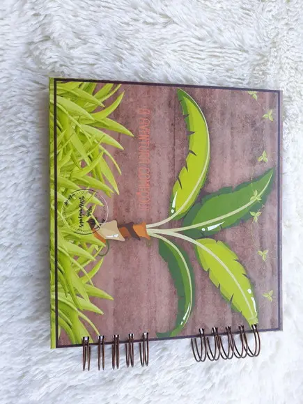 Livro do Bebê Rei Leão