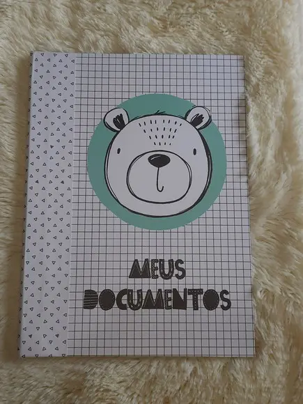 Pasta de Documentos