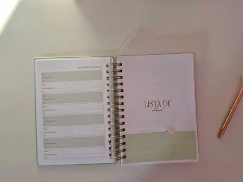 Planner Professor 2026