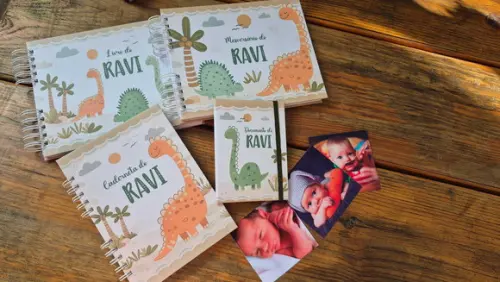 Super Kit Albúm Livro do Bebê e Caderneta de Saúde - Dino