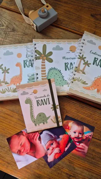 Super Kit Albúm Livro do Bebê e Caderneta de Saúde - Dino