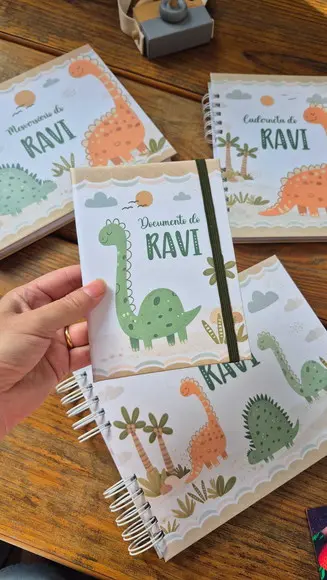 Super Kit Albúm Livro do Bebê e Caderneta de Saúde - Dino
