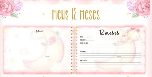 Super Kit Livro, Mesversário e Caderneta de Vacina Céu