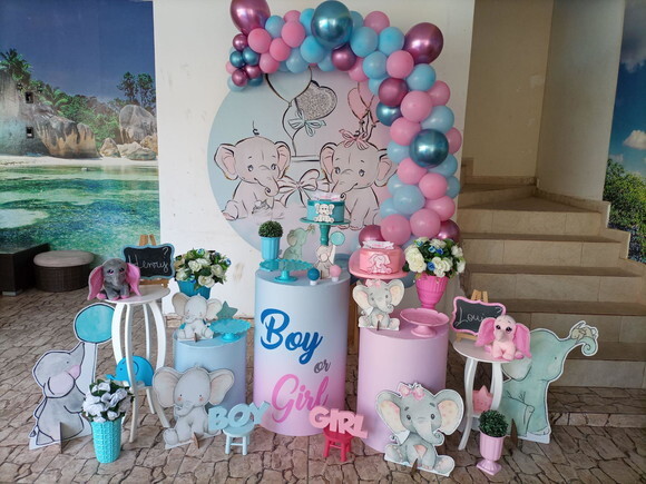 Mesa de Decoração Chá Revelação Elefantinhos - Aluguel