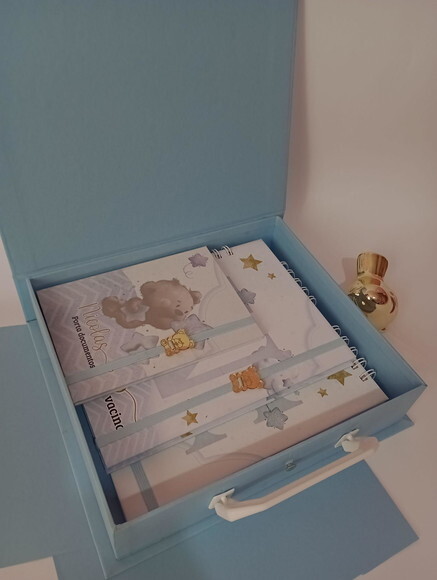 Kit Livro do Bebe Caderneta de Vacina Porta Documento +caixa