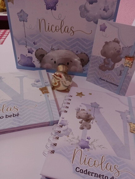 Kit Livro do Bebe Caderneta de Vacina Porta Documento +caixa