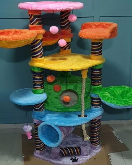 Arranhado de Gatos