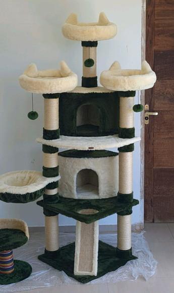 Arranhado de Gatos