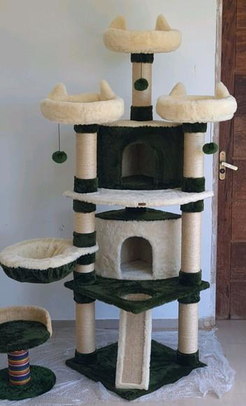 Arranhado de Gatos
