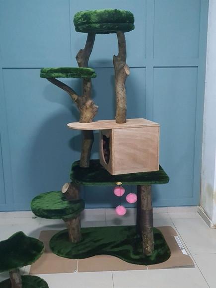 Arranhador para Gato