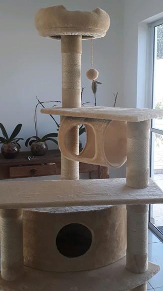 Arranhador para Gato