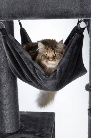 Arranhador para Gato Baiano